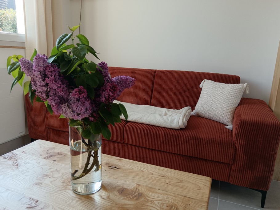 Photo n° 2 de la location