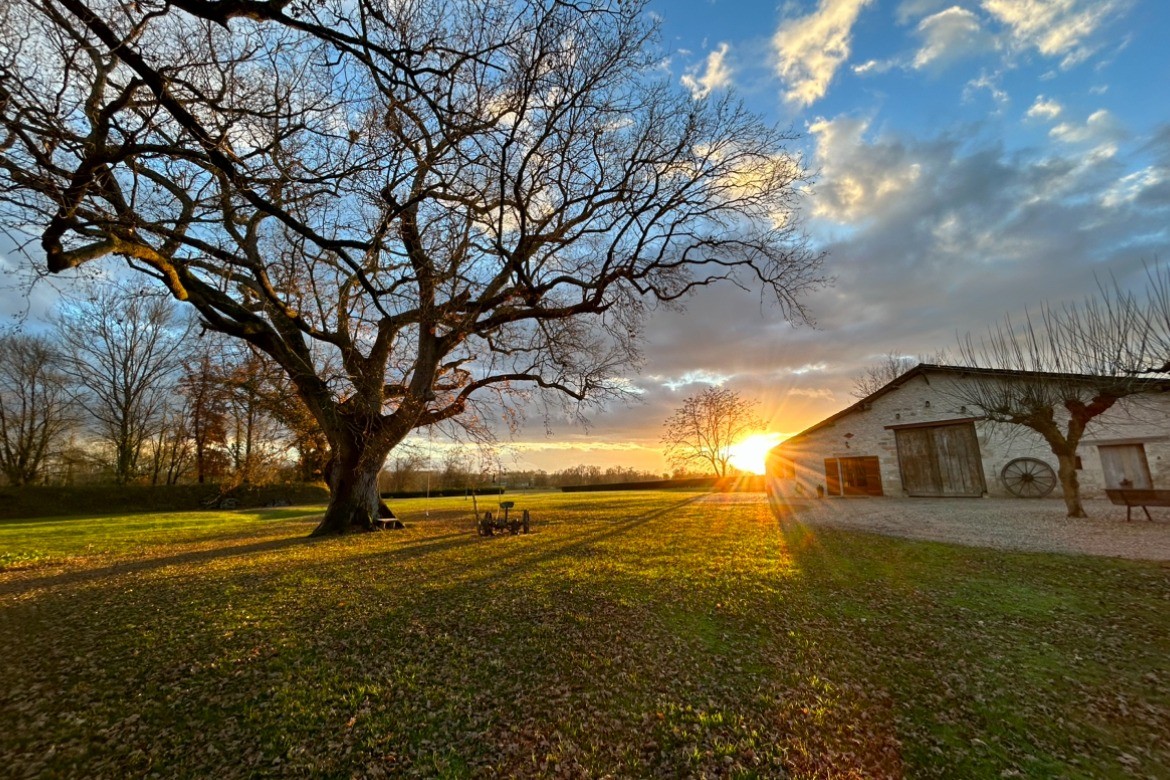 Photo n° 15 of the location