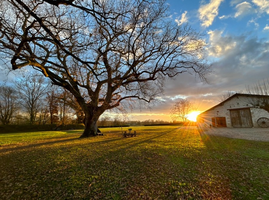 Photo n° 15 of the location