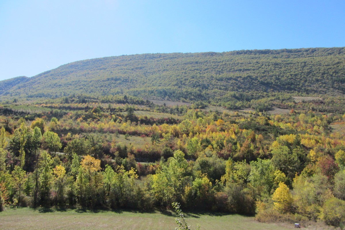 Photo n° 19 of the location