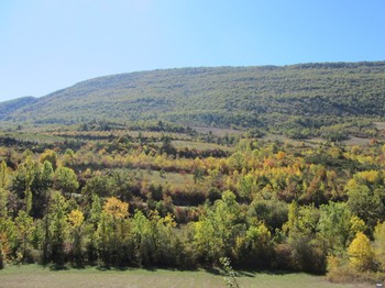 Photo n° 19 of the location