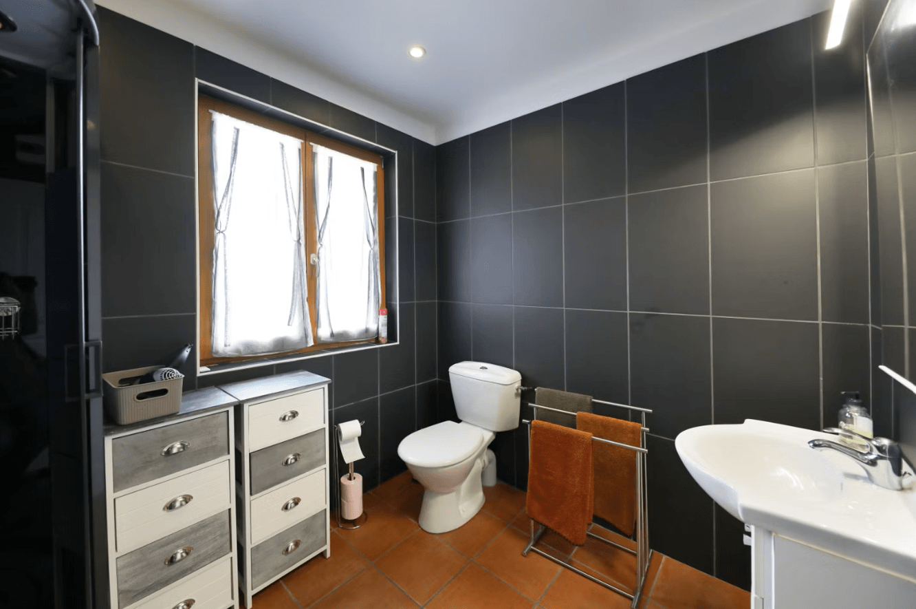 Salle d'eau avec toilettes - Gîte Le Saut du Cerf à Gérardmer, vue lac, proche pistes de ski, terrasse