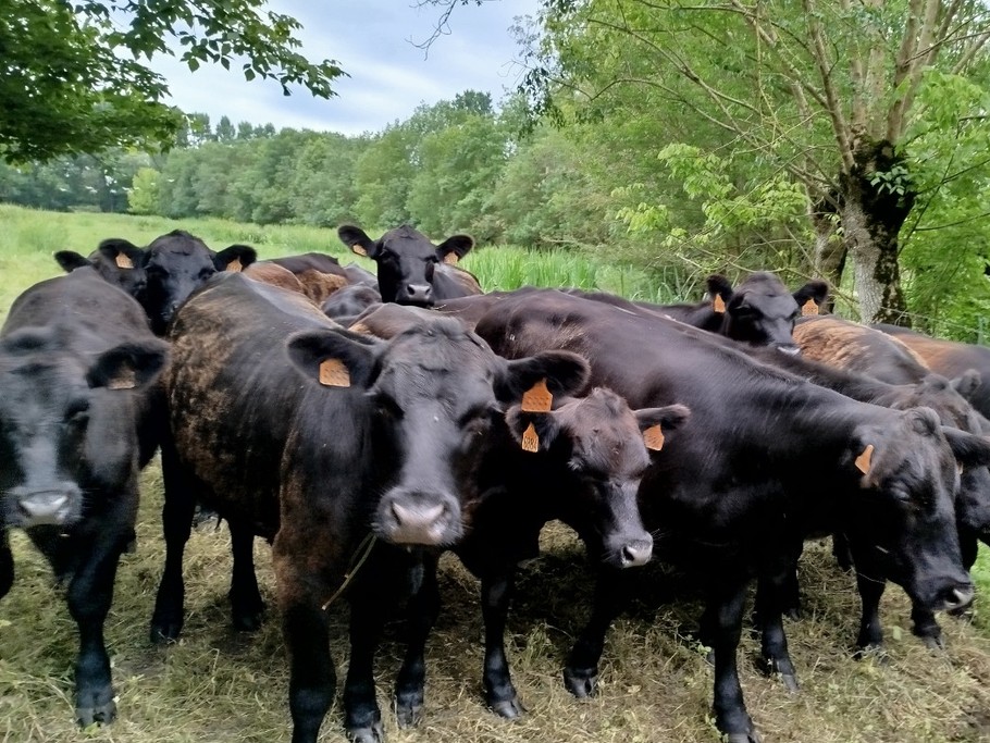 Photo n° 17 of the location