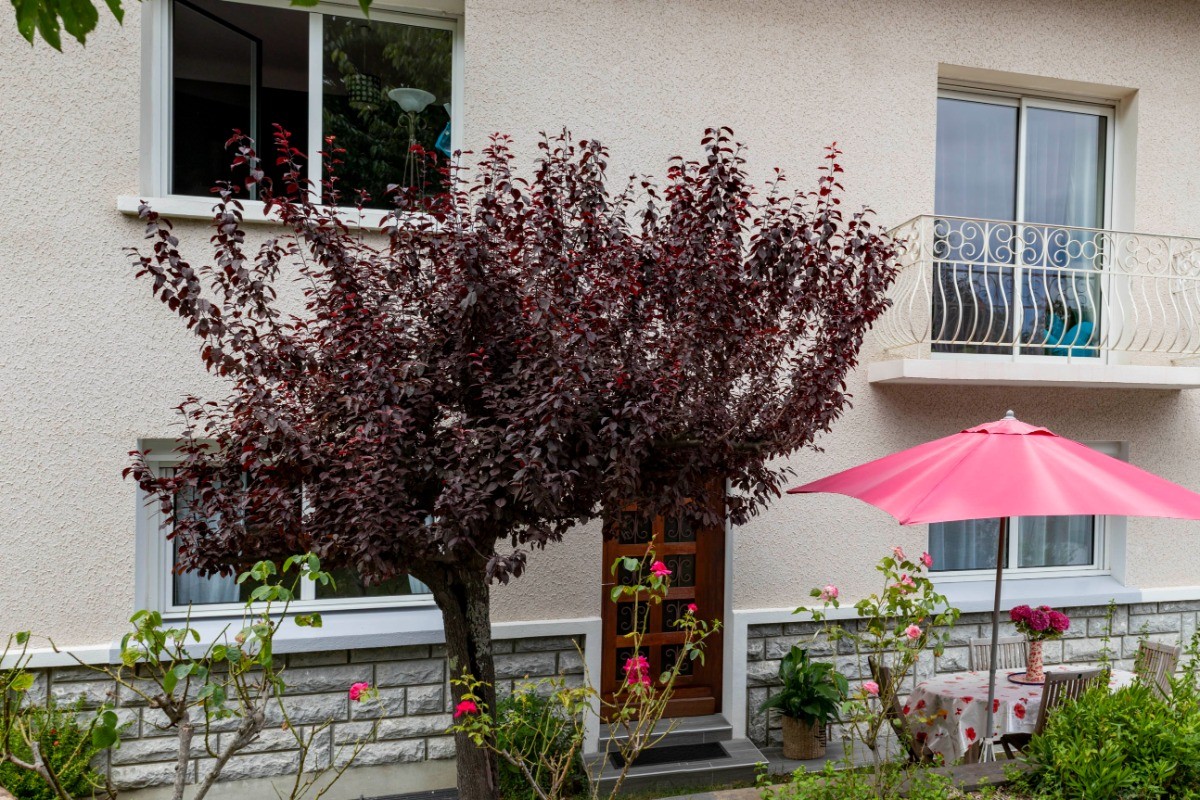 Photo n° 16 de la location