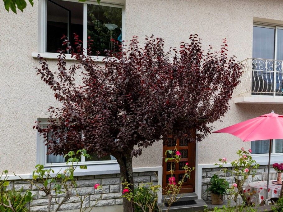 Photo n° 16 de la location