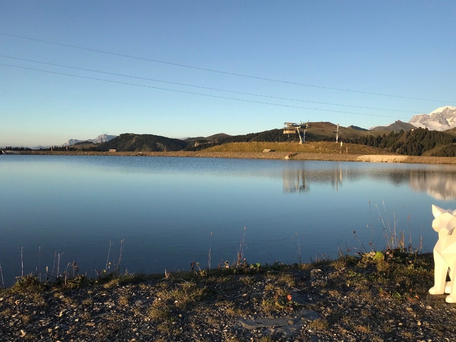 La mascotte au Mont Blanc!