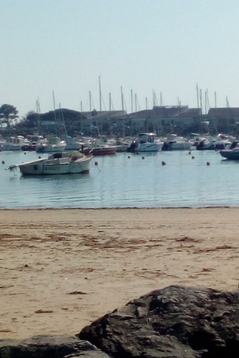 Photo n° 11 de la location
