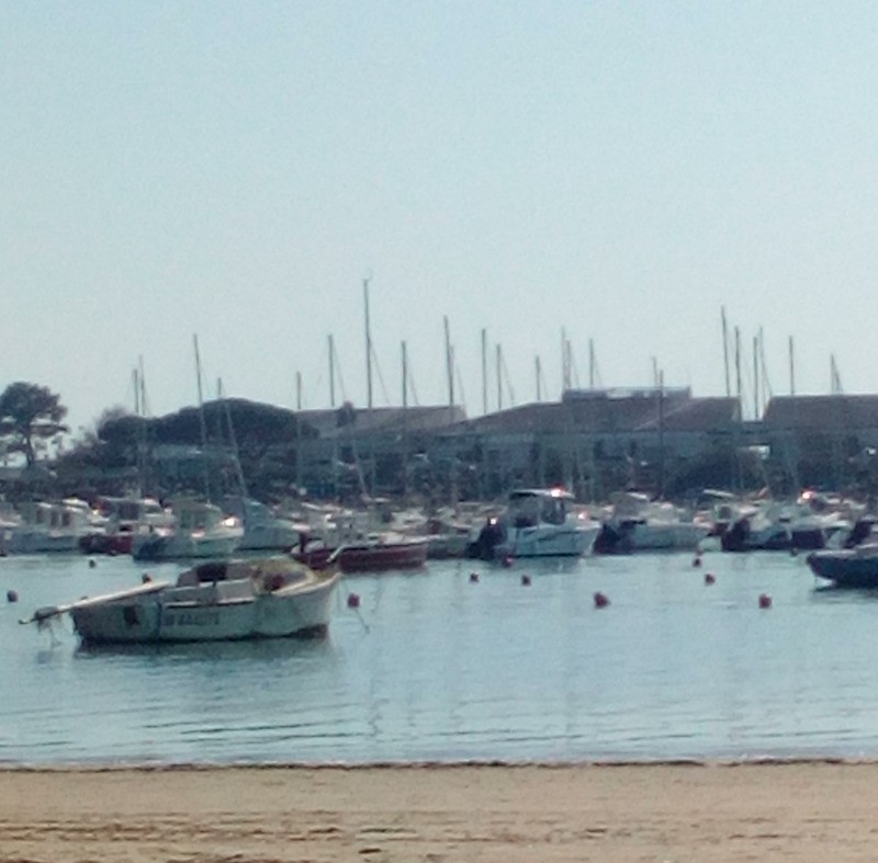 Photo n° 11 of the location