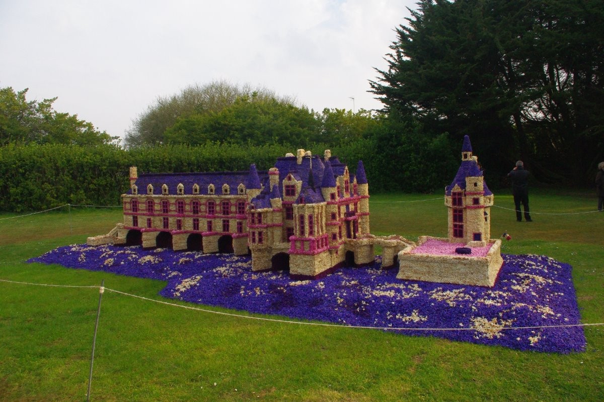 chateau de fleurs de jacinthe au moi de mars