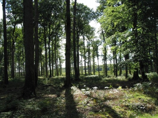 Photo n° 16 of the location