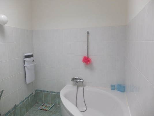Salle de bains RDC