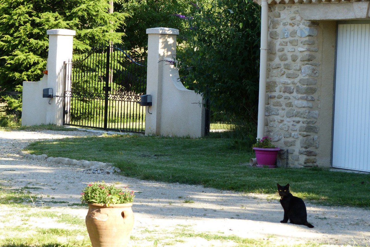 Photo n° 13 de la location
