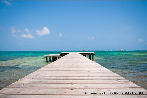 Envie d'un bain de mer...?