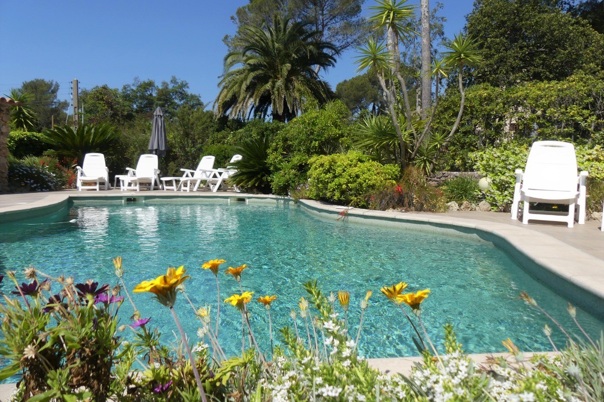 La piscine et ses transats