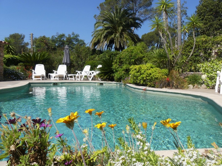 La piscine et ses transats