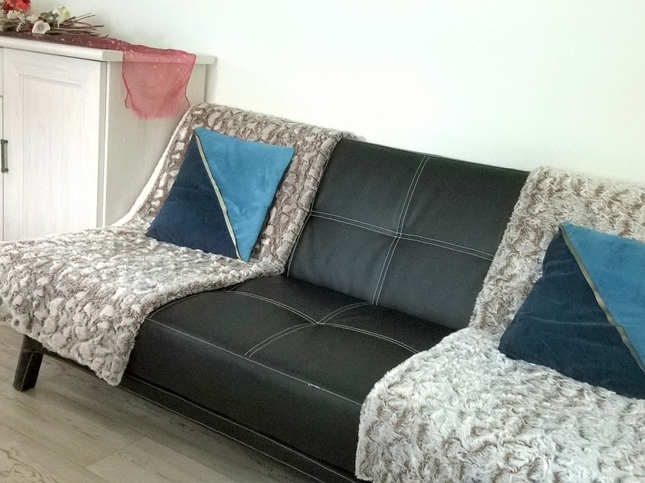 buffet et canapé 3 places