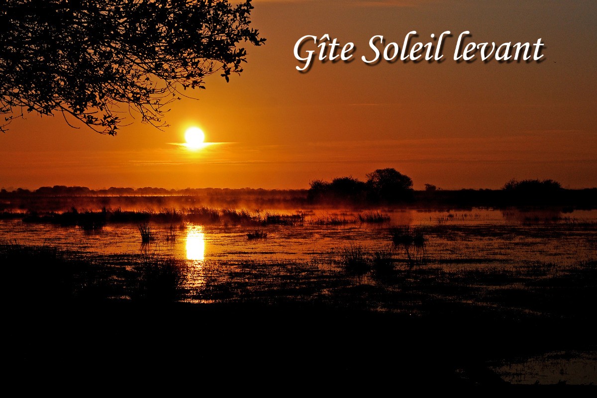 Gîte Soleil levant