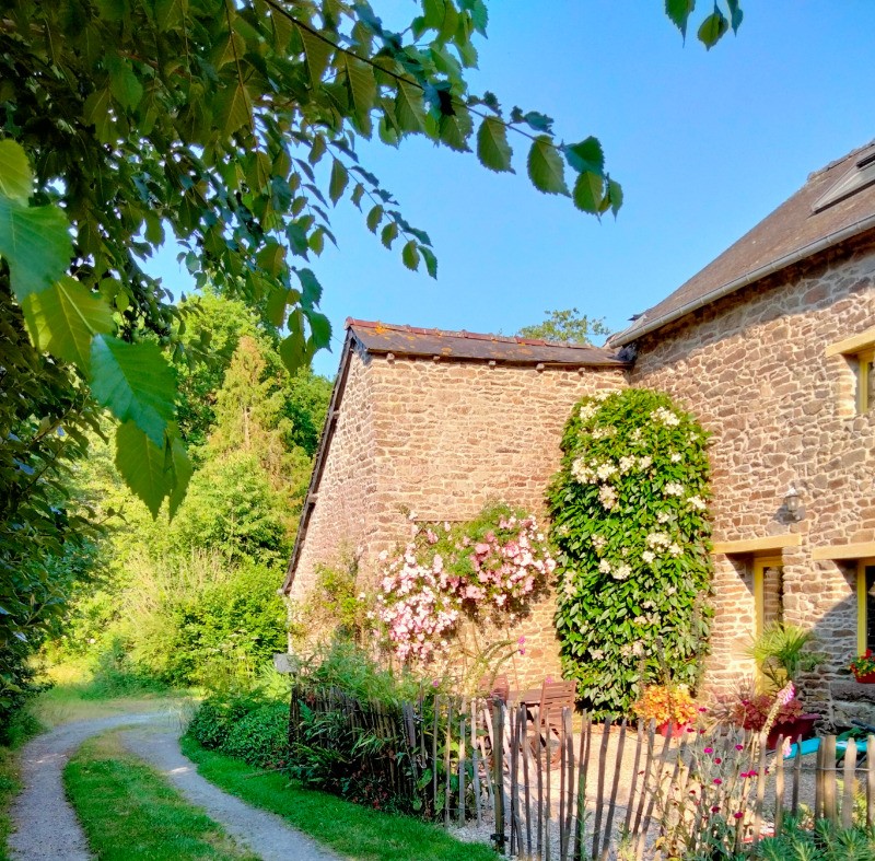 Photo n° 4 of the location