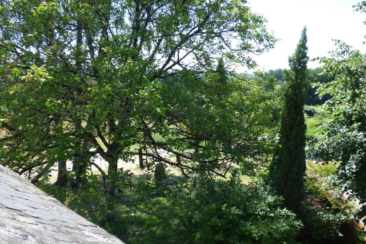 Photo n° 18 de la location