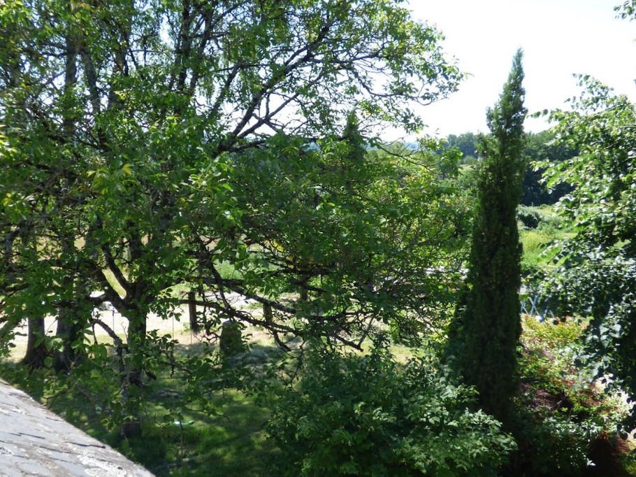 Photo n° 18 of the location