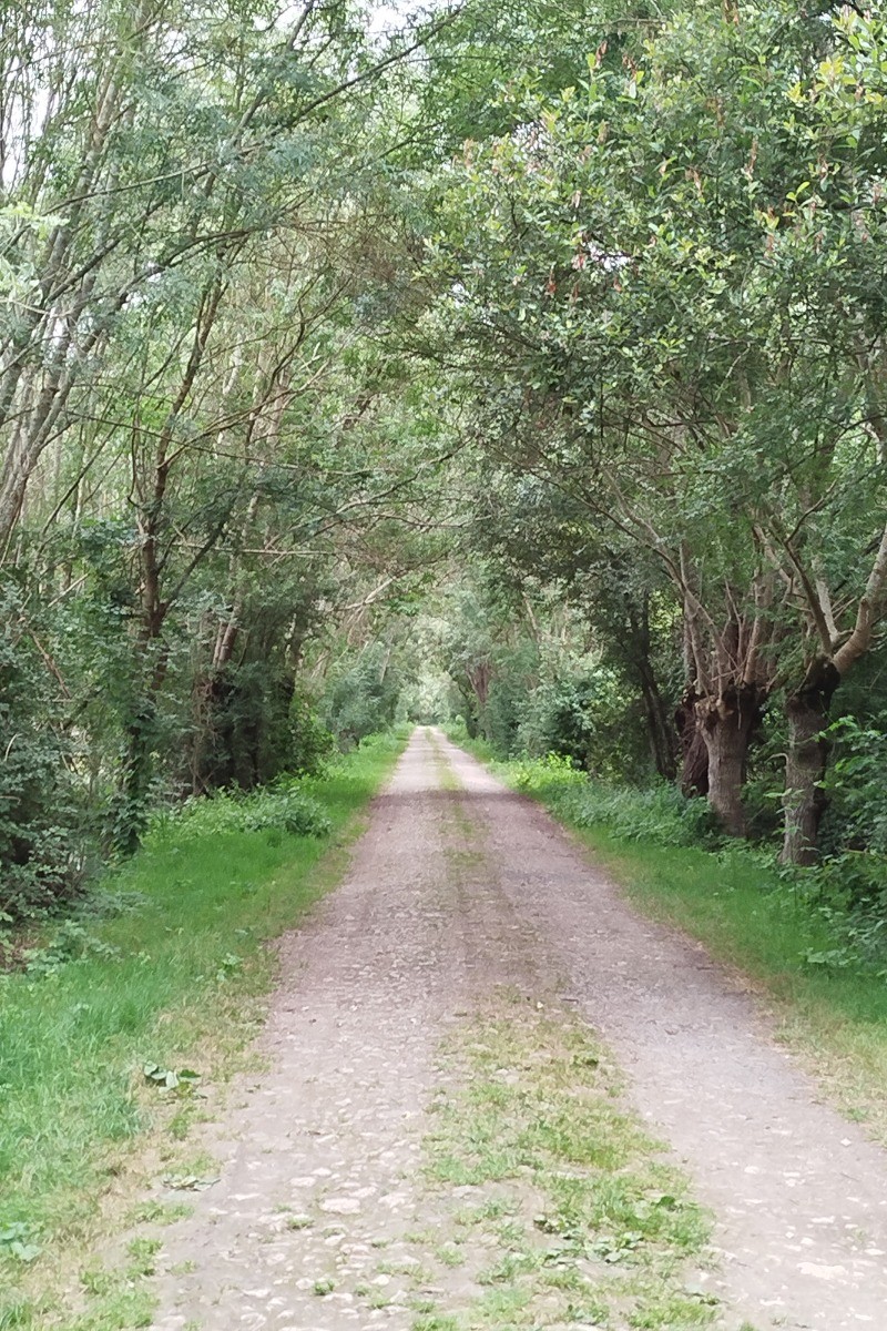 Photo n° 14 de la location