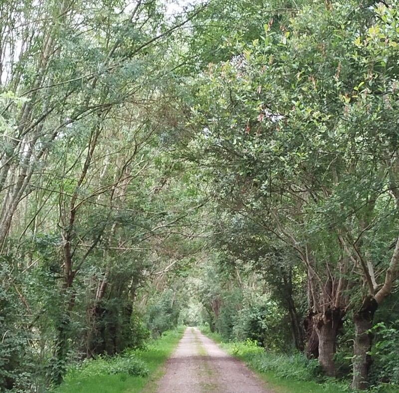 Photo n° 16 of the location