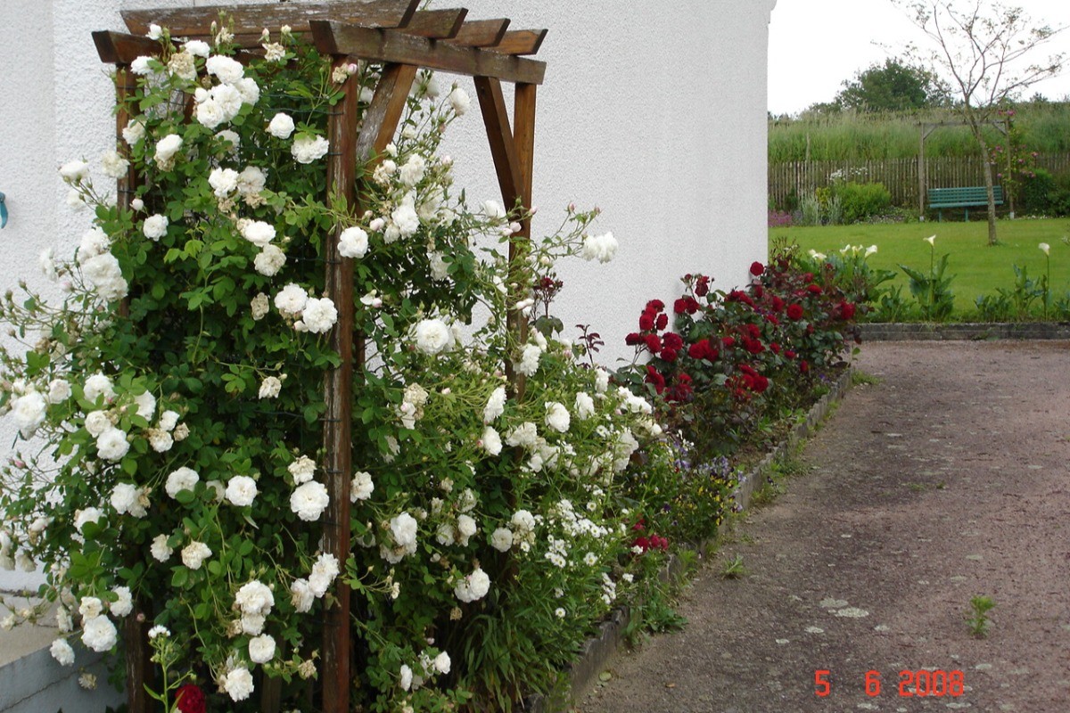 ROSERAIE Gîte LES THUYAS HAUTE-VIENNE