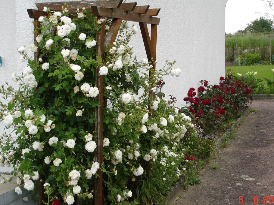 ROSERAIE Gîte LES THUYAS HAUTE-VIENNE