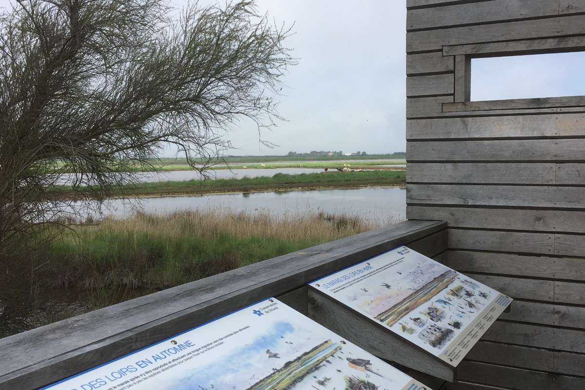 Observatoire d'oiseaux