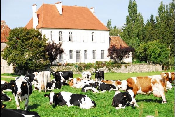 Très belle chambre d'hôtes dans le Jura