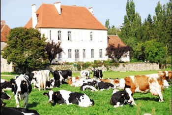 Très belle chambre d'hôtes dans le Jura