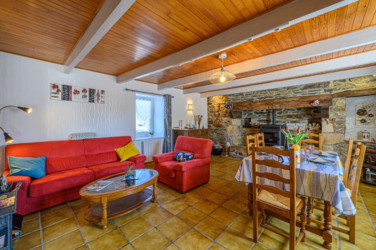 salon séjour avec poêle à bois