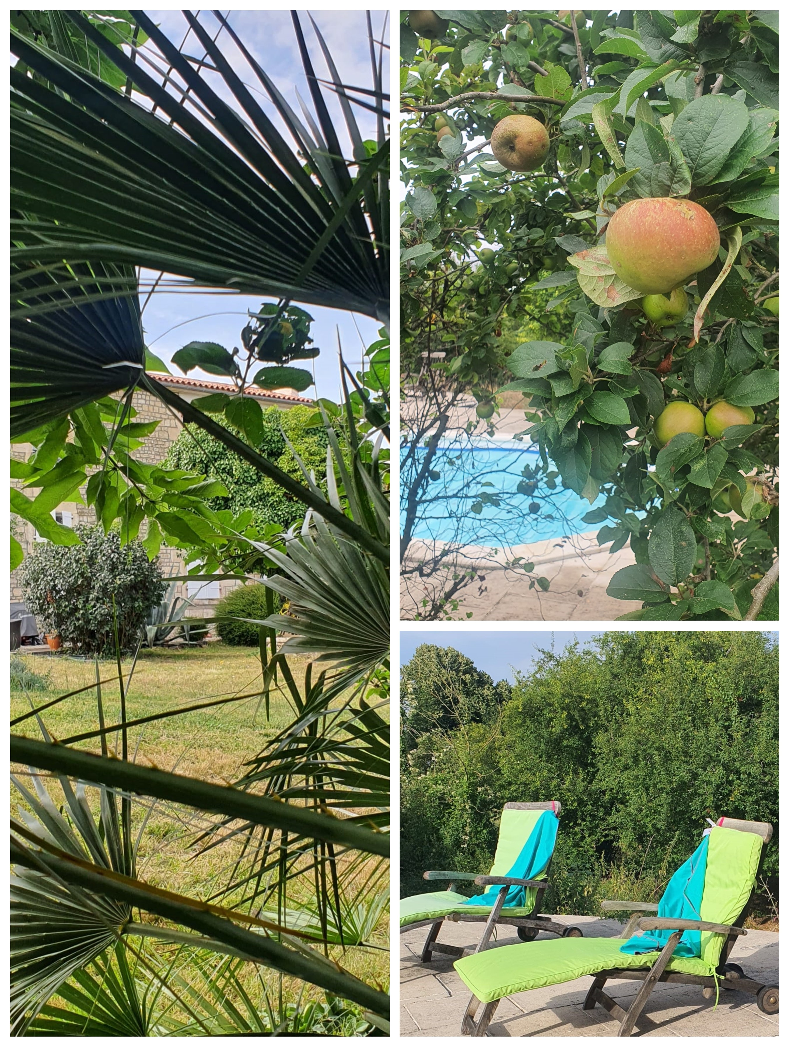 Le jardin
