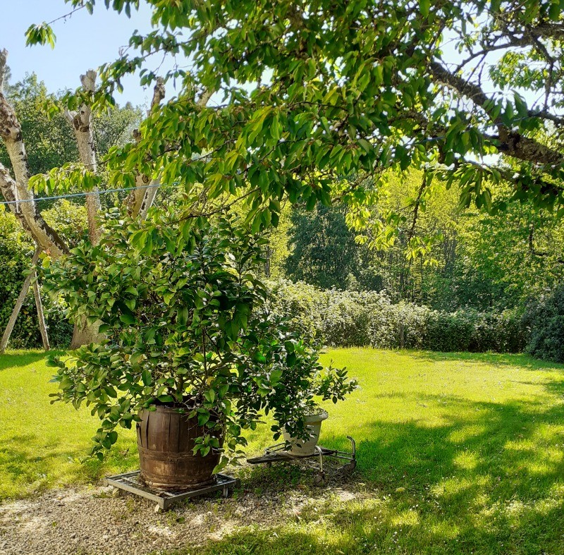 Jardin Gîte la maison de Sarlat 24200 Sarlat la Canéda Clévacances