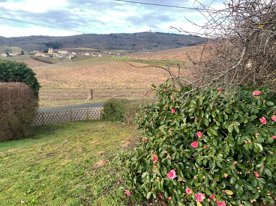 Photo n° 17 of the location