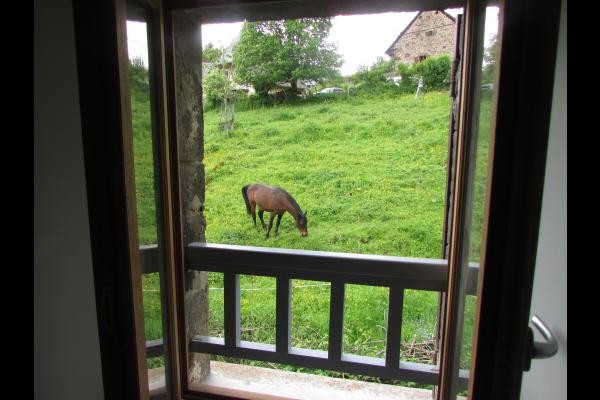 Photo n° 17 de la location