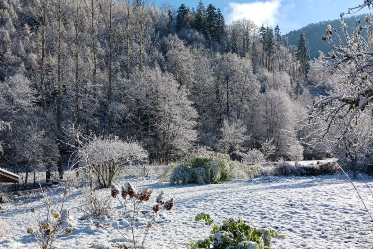 Photo n° 19 of the location