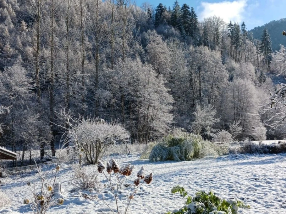 Photo n° 19 of the location