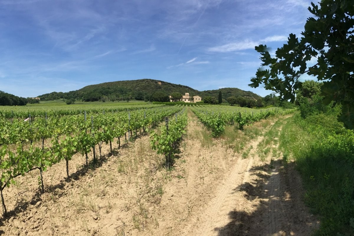 Vue générale du Domaine