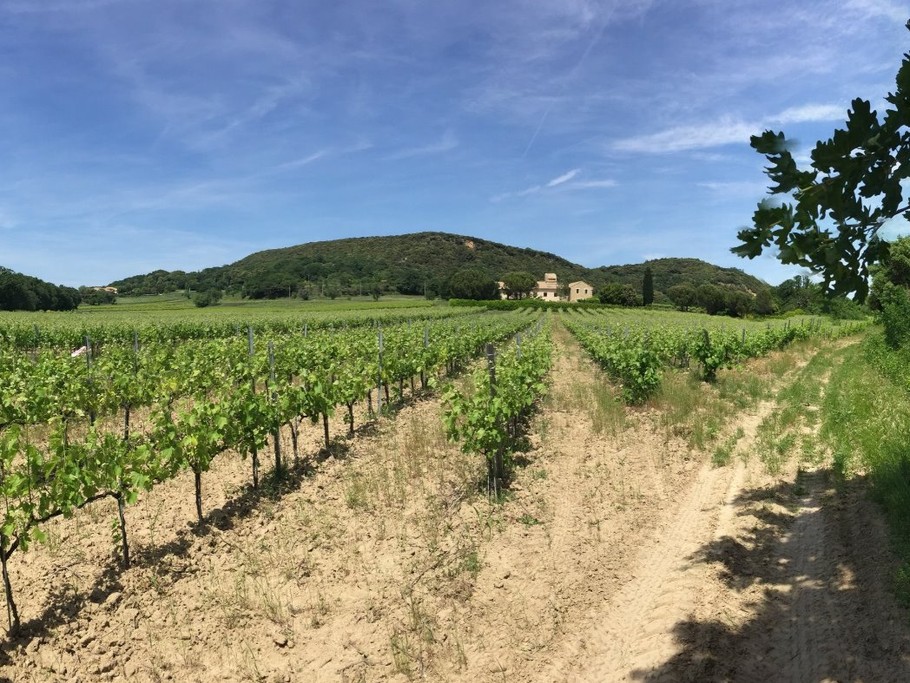 Vue générale du Domaine