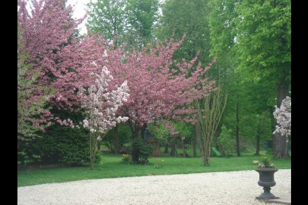 Photo n° 19 de la location