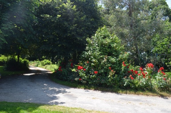 Photo n° 11 de la location