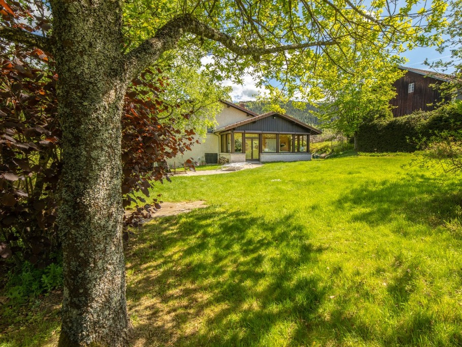 Toujours l'espace vert du jardin..
