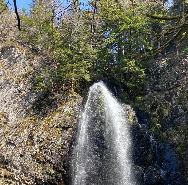 Photo n° 12 de la location