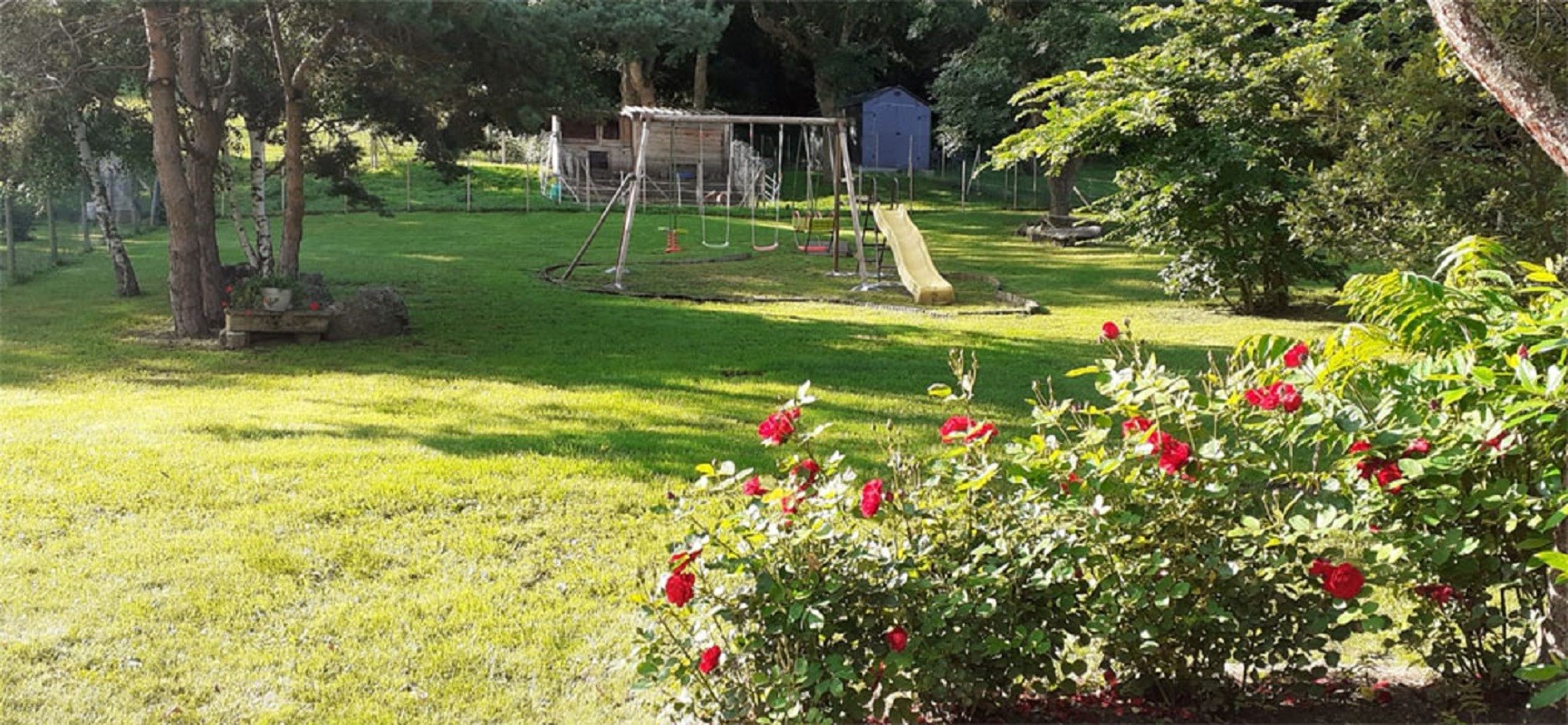 Gîte "Mont Carmel" : The garden