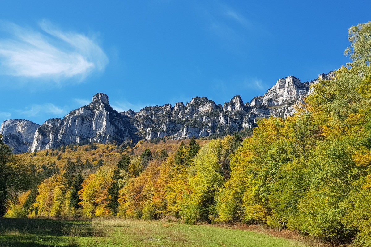 Photo n° 18 of the location