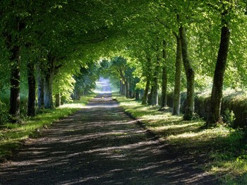 le vieux manoir facade Sud