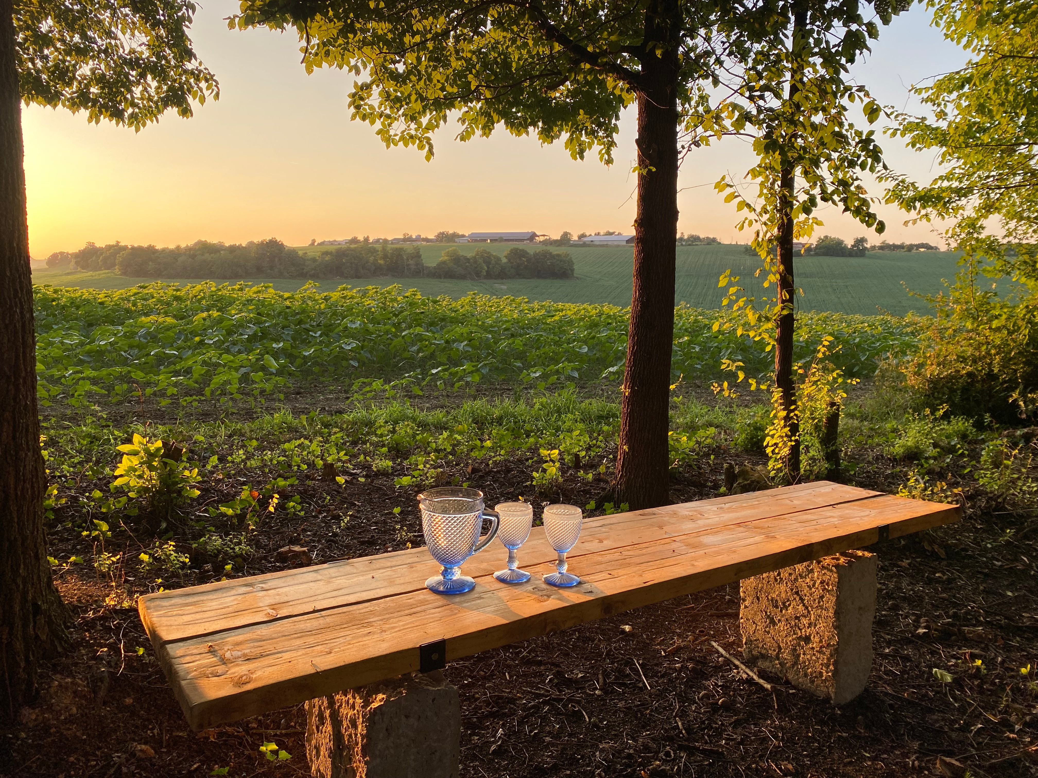 Domaine La Planette