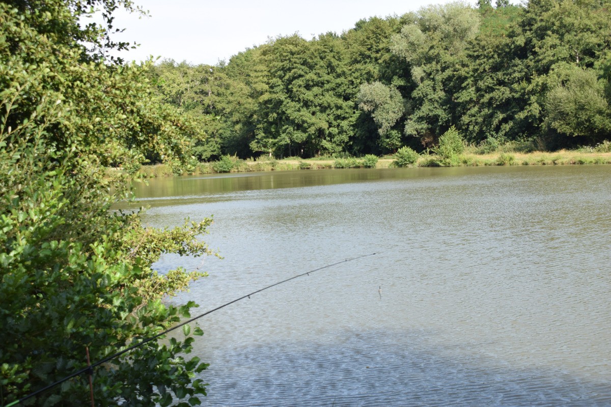 La pêche dans l'étang de la Montée perdrix ! Une activité idéale pour toute la famille !