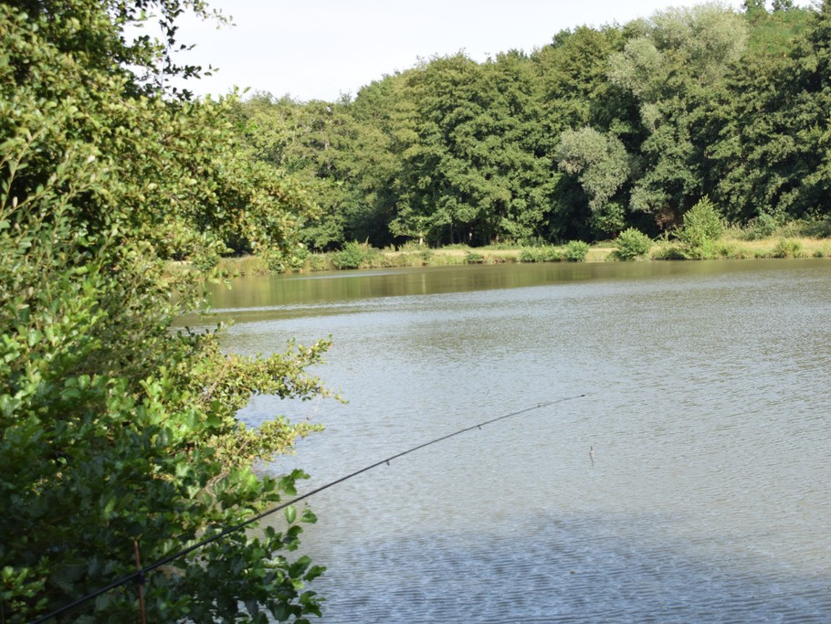 La pêche dans l'étang de la Montée perdrix ! Une activité idéale pour toute la famille !